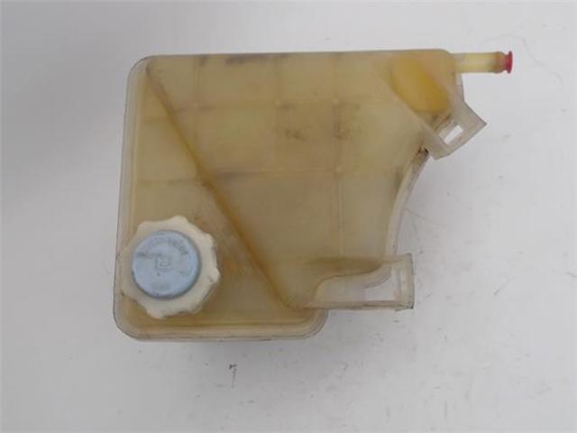 6025371703 RENAULT Бачок системы охлаждения расширительный купить в Каменское
