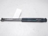 Amortecedor de tampa de porta-malas (de 3ª/5ª porta traseira) 60681587 FIAT