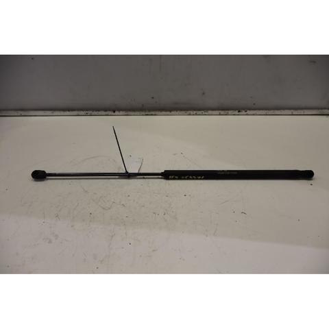 Amortecedor da capota 60688574 FIAT