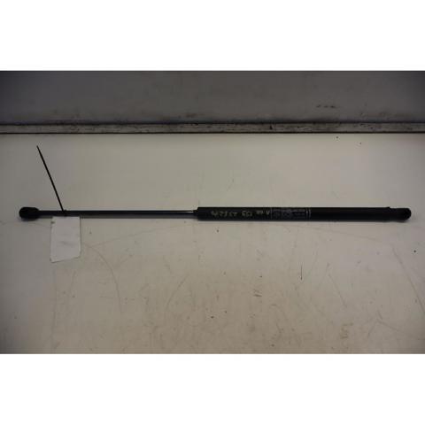 Amortecedor da capota 60688574 FIAT