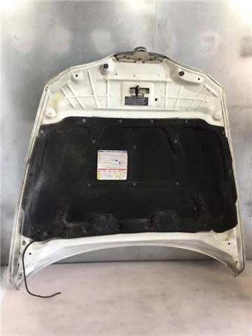 FIAT 60693995 Капот в наличии Николаев