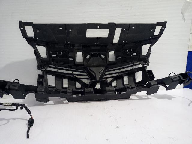 Grelha do radiador Renault Scenic 3 JZ0, JZ1