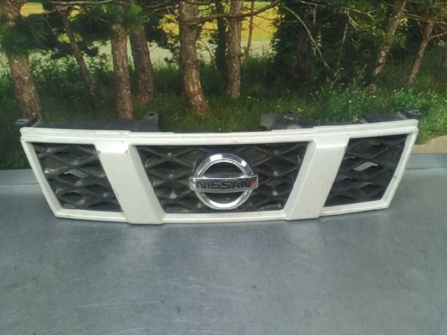 NISSAN 62310JG40A Решетка радиатора в наличии Ирпень