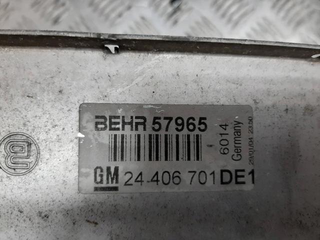6302052 OPEL Радиатор интеркуллера купить в Чернигов