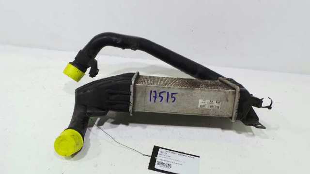 6302058 OPEL Радиатор интеркуллера купить в Чернигов