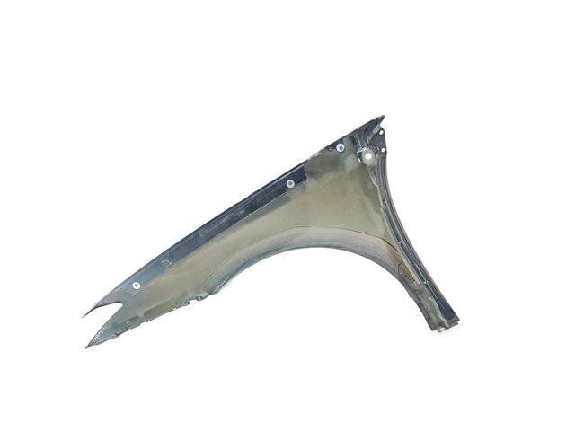 Pára-lama dianteiro direito Renault Laguna 3 BT0, BT1