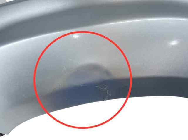 Pára-lama dianteiro direito Renault DUSTER 2 HM