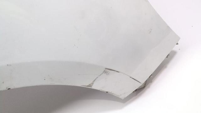 631007894R RENAULT Крыло переднее правое купить в Тернополь