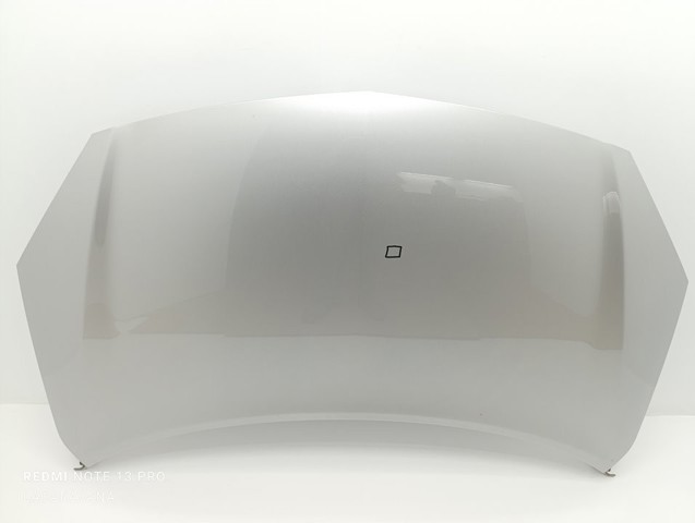 651000024R Капот купить Одесса