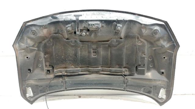 651002244R RENAULT Капот купить в Ровно