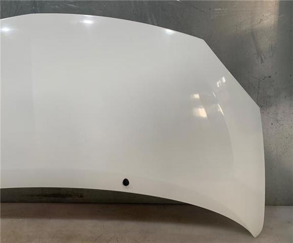 651003355R RENAULT Капот купить в Хмельницкий