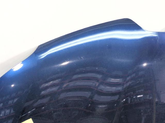 651004019R RENAULT Капот купить в Черкассы