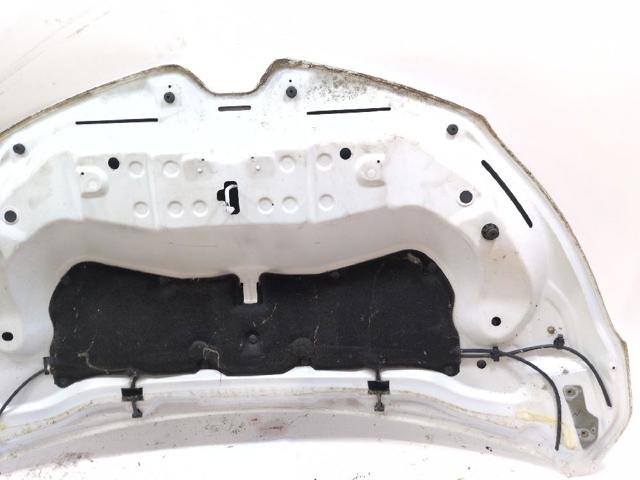 651004529R Капот купить Кривой Рог
