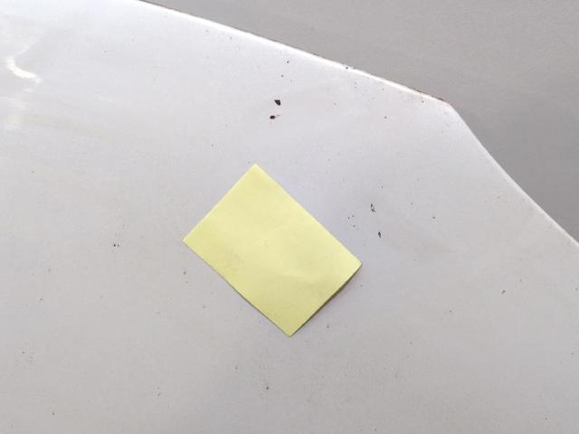 651004529R RENAULT Капот купить в Павлоград