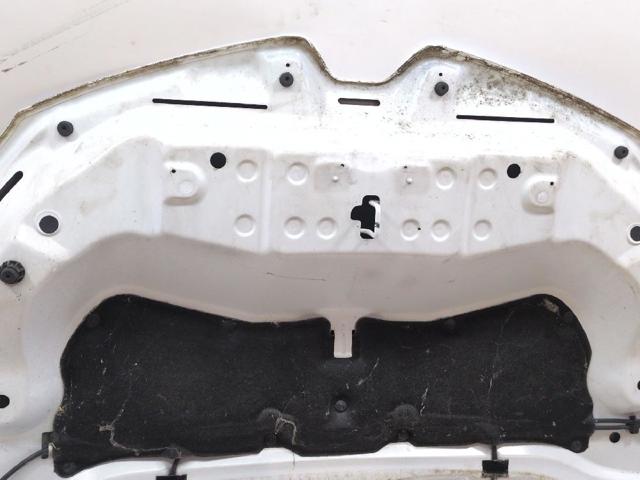 RENAULT 651004529R Капот в наличии Полтава
