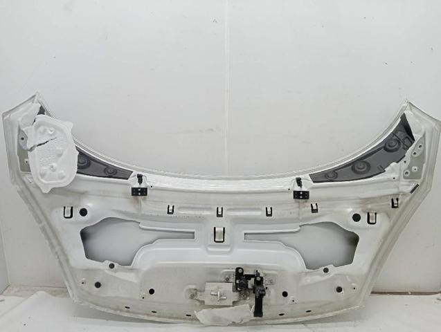 RENAULT 651008369R Капот в наличии Житомир