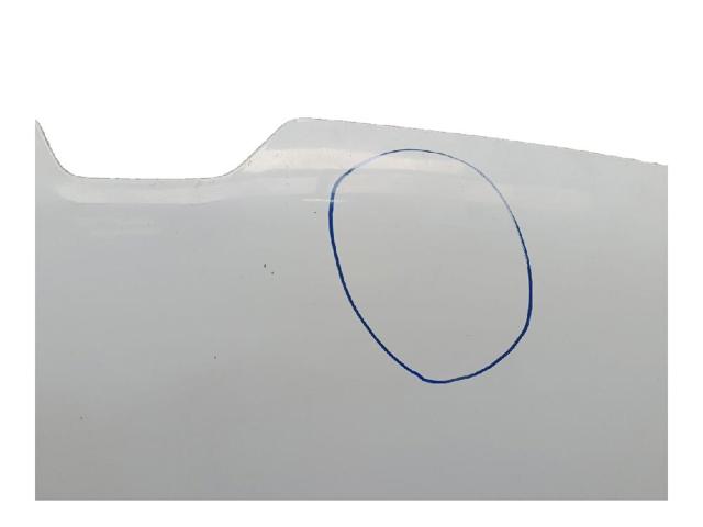 651009758R Капот купить Киев