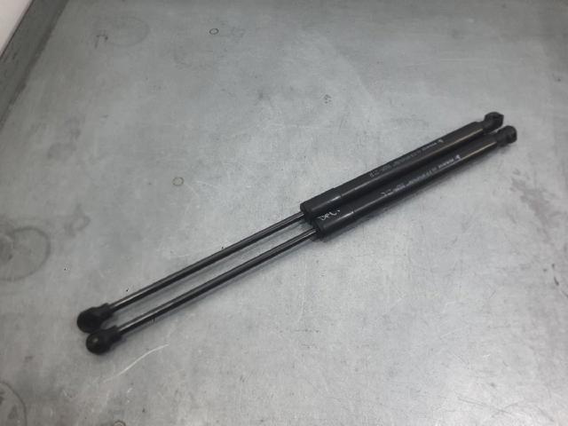 RENAULT 654700462R Амортизатор капота в наличии Черновцы