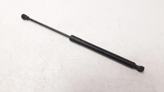 Amortecedor da capota 654704175R RENAULT