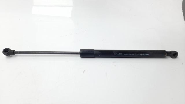 Amortecedor da capota 654704175R RENAULT