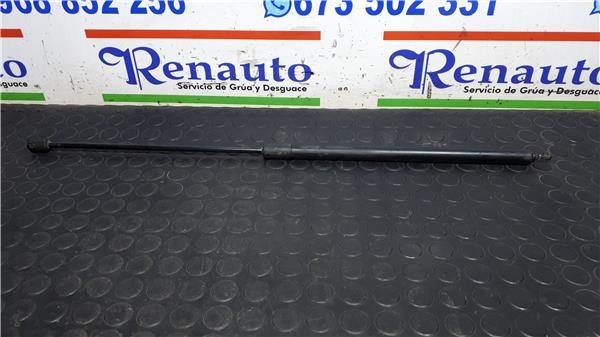 Amortecedores Capo para Renault Megane III Fastback 1.5 dCi (BZ0C) K9KH8 654710003R