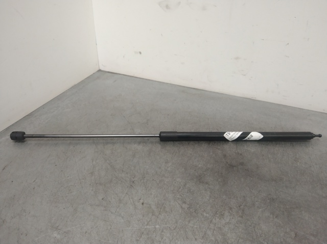 Amortecedor da capota 654710003R RENAULT