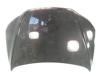 Capota 664002B010 HYUNDAI