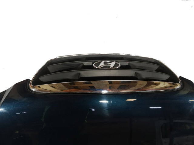 664002D020 HYUNDAI Капот купить в Ирпень