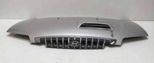 664004G010 Капот купить Ирпень