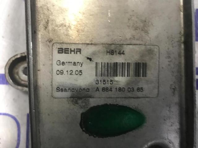 SSANG YONG 6641800365 Масляный радиатор в наличии Тернополь