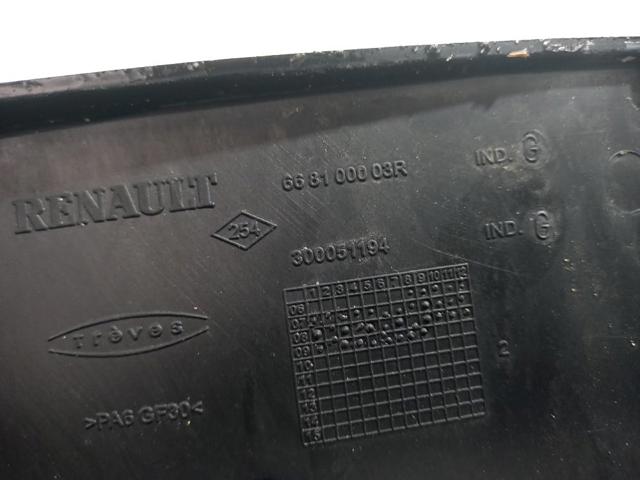 668100003R купить Павлоград