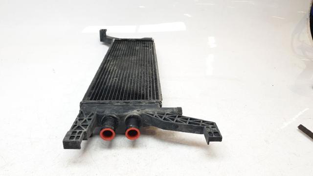 MASERATI 670009821 Радиатор охлаждения двигателя дополнительный в наличии Ирпень