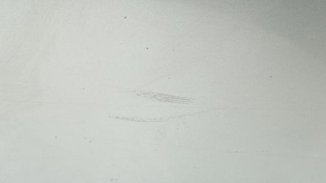 Porta dianteira esquerda Toyota Auris E15