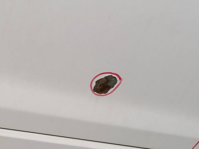 6800365833 SUZUKI купить в Запорожье