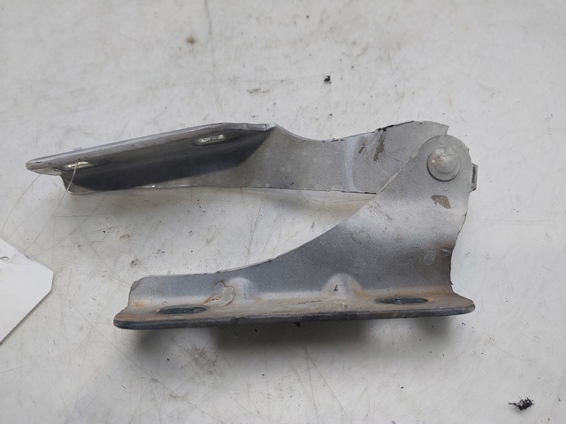 Gozno da capota esquerdo 6C1116801AC Ford