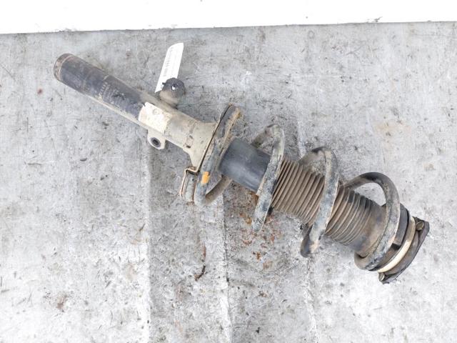 6C1118045UF FORD Амортизатор передний купить в Ужгород