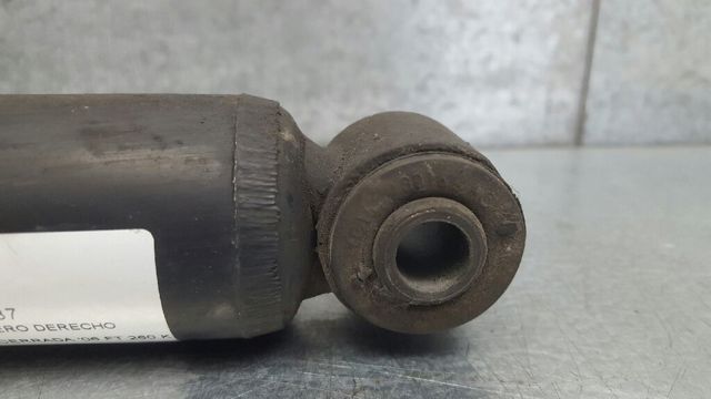 6C1118080ZC FORD Амортизатор задний купить в Украина