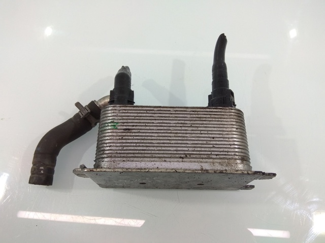 Resfriador de óleo do motor para Ford S-Max 2.0 TDCI TSWA 6G917A095AD