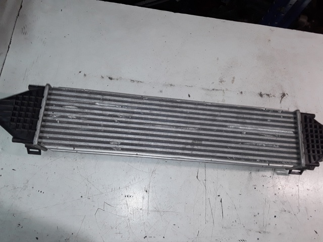 6G919L440CD Интеркулер купить Кривой Рог