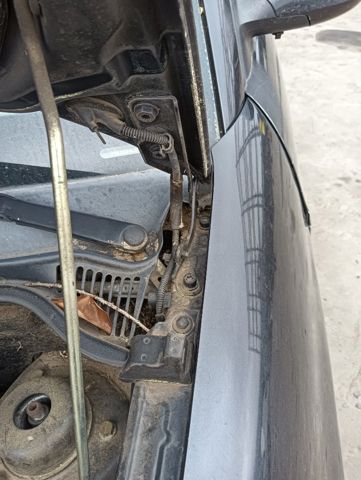 VAG 6L0823301A Петля капота левая в наличии Киев