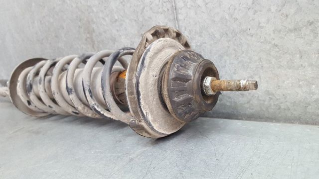 6N0513031L Амортизатор задний купить Ужгород