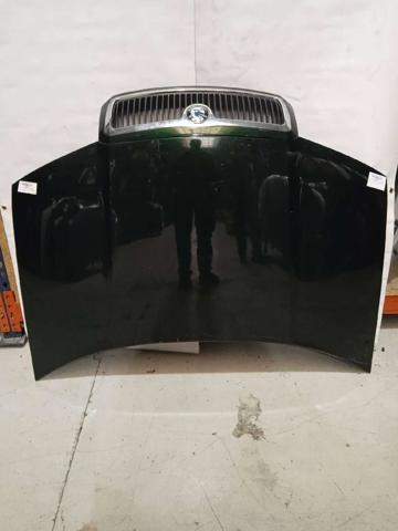 Capota 6Y0823031 VAG