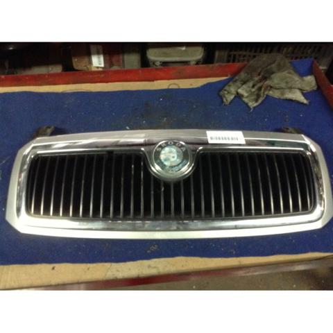 Grelha do radiador 6Y085366801C VAG