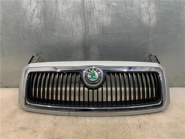 Grelha do radiador 6Y085366801C VAG