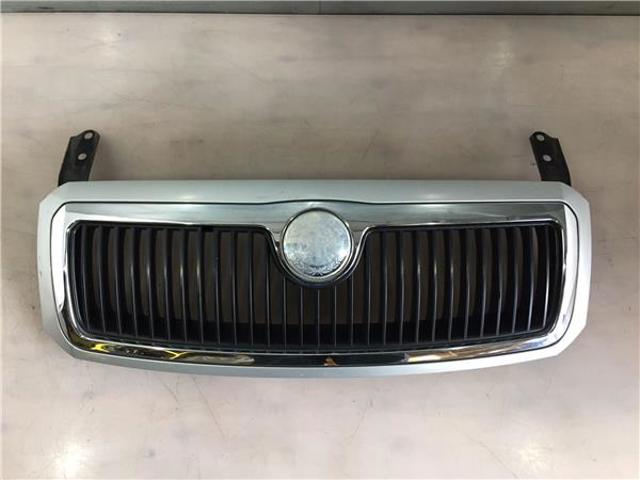 Grelha do radiador 6Y085366801C VAG