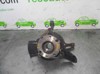 Cubo traseiro 71737613 FIAT