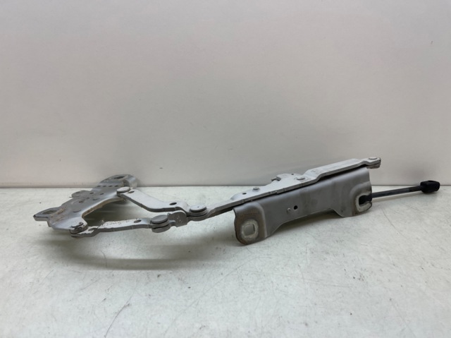 7239415 BMW Петля капота левая купить в Николаев