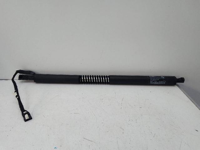 7298983 BMW Амортизатор крышки багажника (двери 3/5-й задней) купить в Хмельницкий