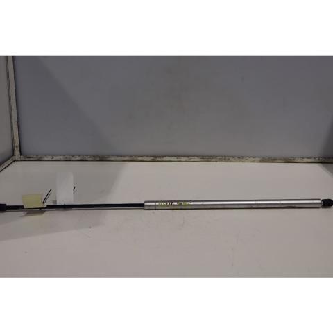 Amortecedor de tampa de porta-malas (de 3ª/5ª porta traseira) 735364074 FIAT