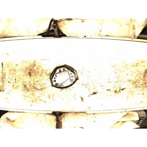 FIAT 735388305 Подушка безопасности (AIRBAG) водительская в наличии Днепр